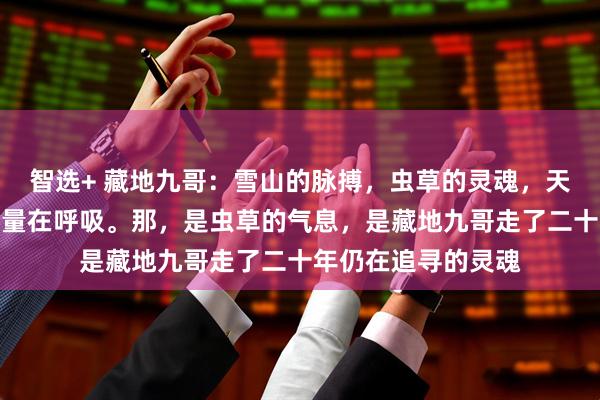 智选+ 藏地九哥：雪山的脉搏，虫草的灵魂，天地间仿佛有一种力量在呼吸。那，是虫草的气息，是藏地九哥走了二十年仍在追寻的灵魂