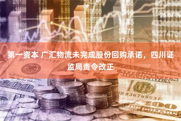第一资本 广汇物流未完成股份回购承诺，四川证监局责令改正