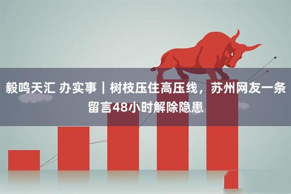 毅鸣天汇 办实事｜树枝压住高压线，苏州网友一条留言48小时解除隐患