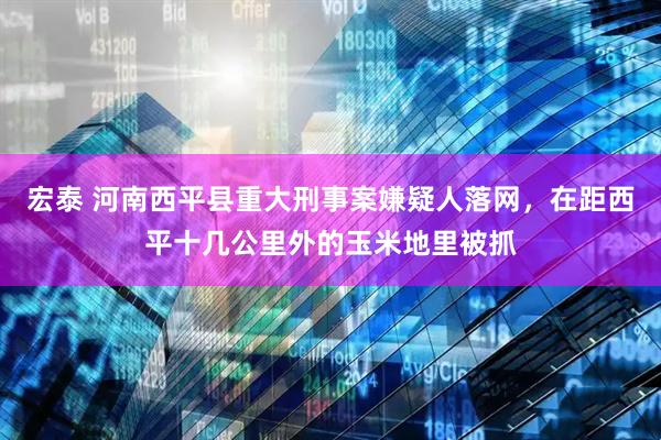 宏泰 河南西平县重大刑事案嫌疑人落网，在距西平十几公里外的玉米地里被抓